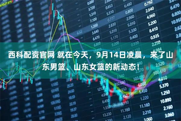 西科配资官网 就在今天，9月14日凌晨，来了山东男篮、山东女篮的新动态！