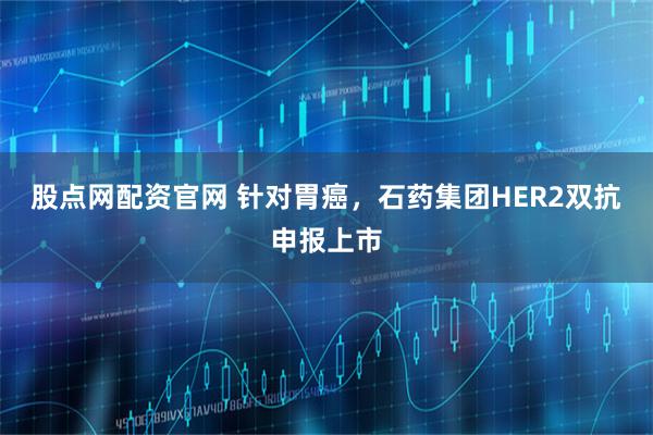 股点网配资官网 针对胃癌，石药集团HER2双抗申报上市