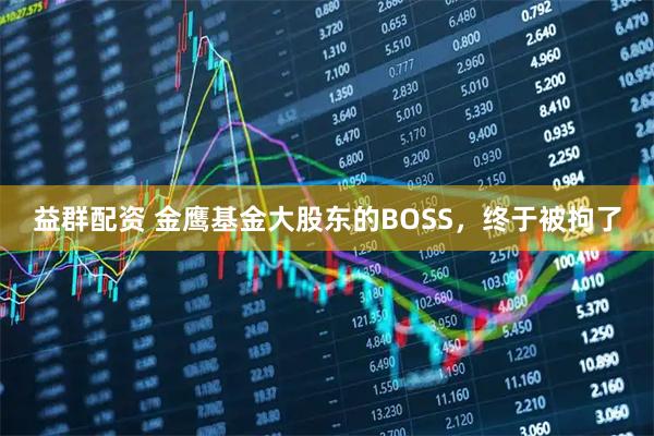 益群配资 金鹰基金大股东的BOSS，终于被拘了